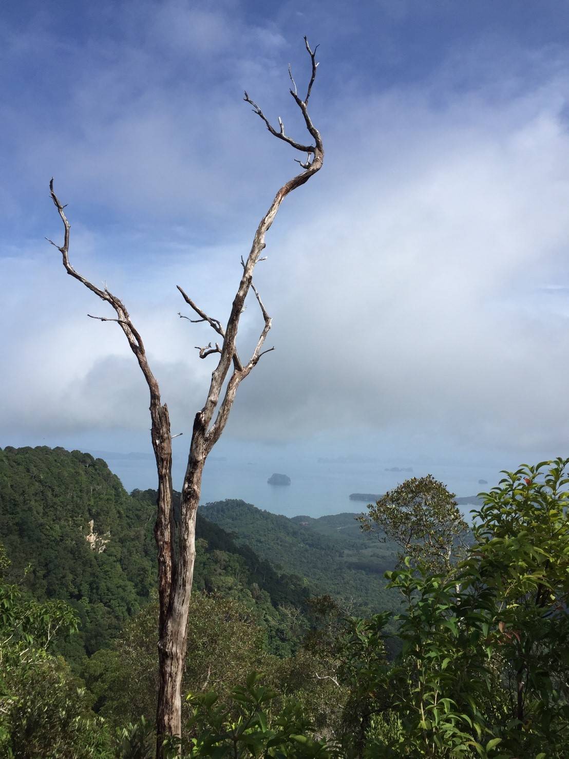 Krabi Ngonnak trekking